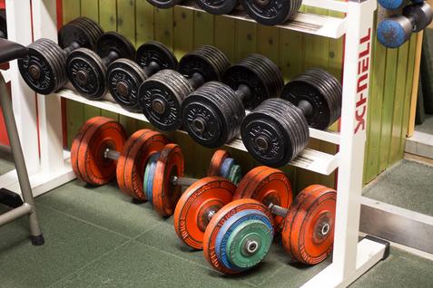 Hanteln im Kraftraum der Jahnhalle Mehrere Reihen von Hanteln auf einem weißen Regal im Kraftraum der Jahnhalle.